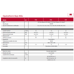 detalle tecnico caudal presion potencia gas 17