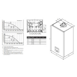 MEDIDAS SAUNIER DUVAL THEMAFAST MICONNECT 31