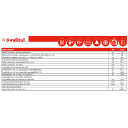 ficha técnica Caldera FONDITAL LEO KC 24 Gas Natural