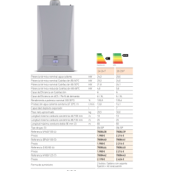 Ficha técnica caldera BAXI CUBIC 24/24 F