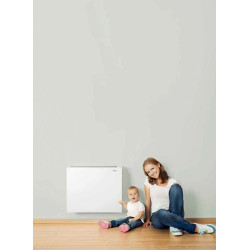 Radiador baja temperatura FERROLI VARESE LP 800 pared no quema