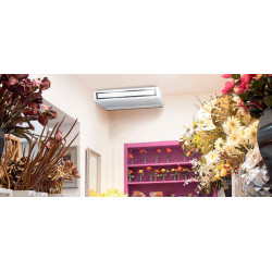 Ambientación unidades de techo  Aire Acondicionado Techo MITSUBISHI MSPCZ-100VKA2 STD