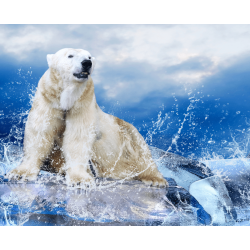 Aire Acondicionado suelo-techo BAXI NANUK RZGC70 R32