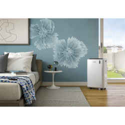 Ambientacion del Aire Acondicionado Portátil DELONGHI PAC EM90 SILENT en una habitacion