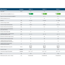 datos tecnicos Calentador BOSCH Therm 6600 S 12-15-17 Gas propano butano