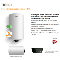 Flyer Termo Eléctrico FERROLI TIBER B 100