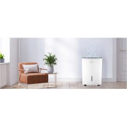 Ambientación Deshumidificador JOHNSON JHD10