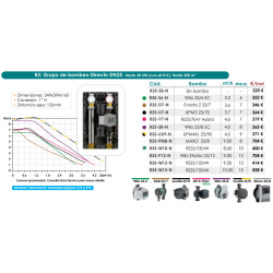 Ficha técnica Grupo de Bombeo Directo DN25 FERCO R35-W15-N