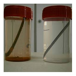 Prueba Inhibidor de Corrosión Circuito Cerrado 1 Litro FERCO