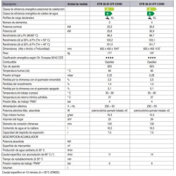 ficha técnica caldera gasoil condensacion hierro fundido biasi gtb 30-25 gt