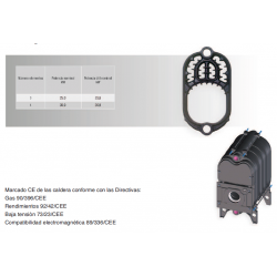 cuerpo de fundicion 4 elementos caldera gasoil hierro fundido 31 kw
